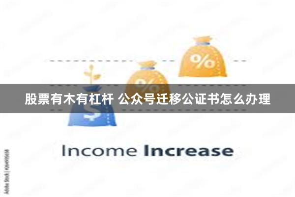 股票有木有杠杆 公众号迁移公证书怎么办理