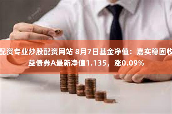 配资专业炒股配资网站 8月7日基金净值：嘉实稳固收益债券A最新净值1.135，涨0.09%