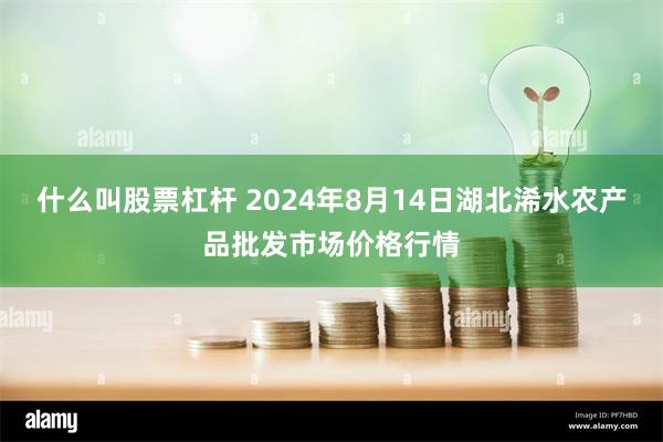 什么叫股票杠杆 2024年8月14日湖北浠水农产品批发市场价格行情