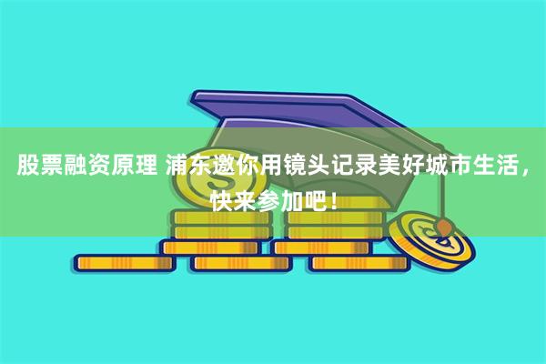 股票融资原理 浦东邀你用镜头记录美好城市生活，快来参加吧！