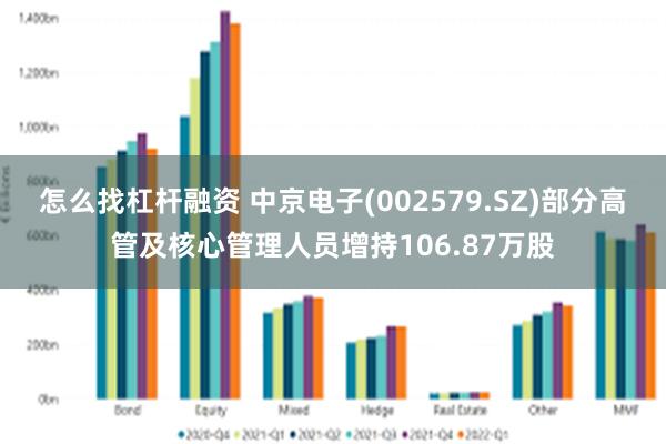 怎么找杠杆融资 中京电子(002579.SZ)部分高管及核心管理人员增持106.87万股