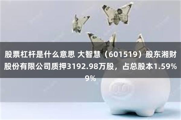 股票杠杆是什么意思 大智慧（601519）股东湘财股份有限公司质押3192.98万股，占总股本1.59%