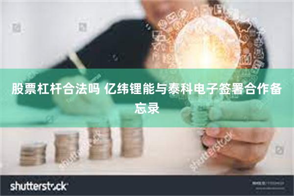 股票杠杆合法吗 亿纬锂能与泰科电子签署合作备忘录