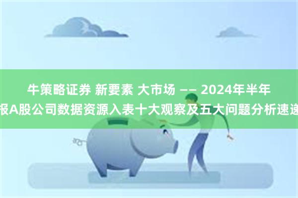 牛策略证券 新要素 大市场 —— 2024年半年报A股公司数据资源入表十大观察及五大问题分析速递