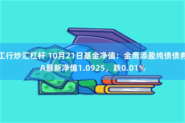 工行炒汇杠杆 10月21日基金净值：金鹰添盈纯债债券A最新净值1.0925，跌0.01%