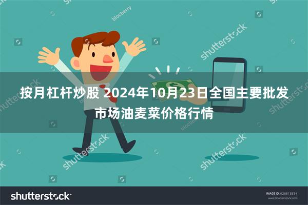 按月杠杆炒股 2024年10月23日全国主要批发市场油麦菜价格行情