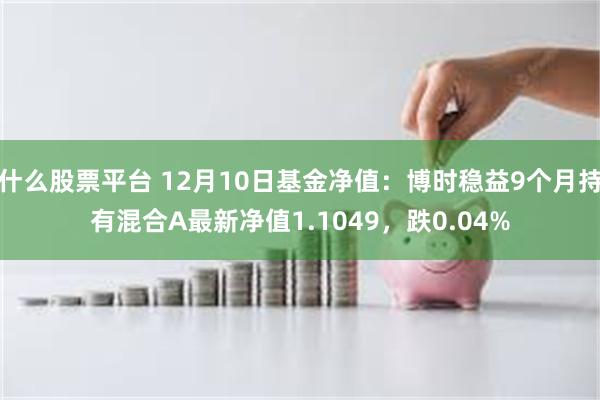 什么股票平台 12月10日基金净值：博时稳益9个月持有混合A最新净值1.1049，跌0.04%