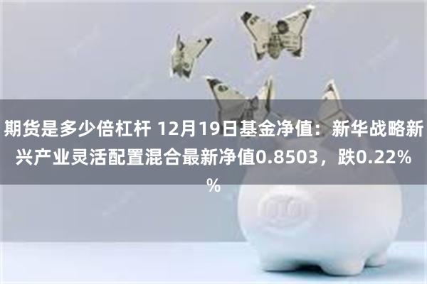 期货是多少倍杠杆 12月19日基金净值：新华战略新兴产业灵活配置混合最新净值0.8503，跌0.22%