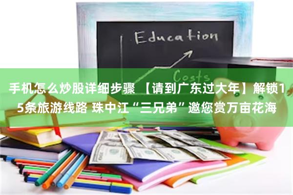 手机怎么炒股详细步骤 【请到广东过大年】解锁15条旅游线路 珠中江“三兄弟”邀您赏万亩花海