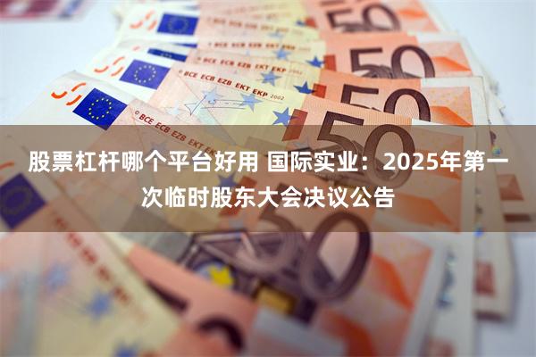 股票杠杆哪个平台好用 国际实业：2025年第一次临时股东大会决议公告